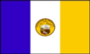 Flagge von Jersey City