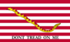 Flagge der US Navy