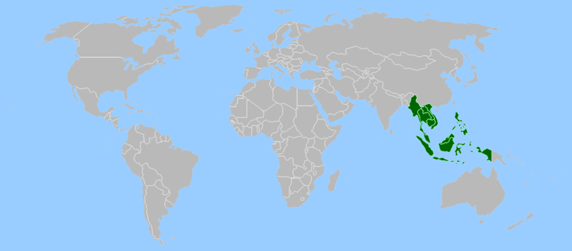 Karte der Mitgliedsstaaten des Verbandes Sdostasiatischer Nationen