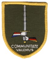 Abzeichen 1. Deutsch-Niederlndisches Korps / Mnster