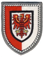 Abzeichen Heimatschutzbrigade 42 / Potsdam/Eiche