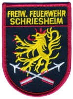 Abzeichen Freiwillige Feuerwehr Schriesheim