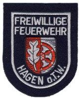 Abzeichen Freiwillige Feuerwehr Hagen am Teuteburger Wald