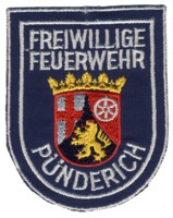 Abzeichen Freiwillige Feuerwehr Pünderich
