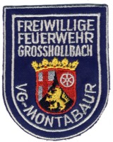 Abzeichen Freiwillige Feuerwehr Grosshollbach