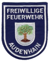 Abzeichen Freiwillige Feuerwehr Audenhain