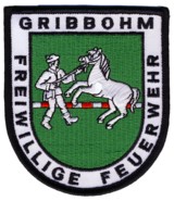 Abzeichen Freiwillige Feuerwehr Gribbohm