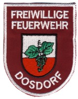 Abzeichen Freiwillige Feuerwehr Dosdorf