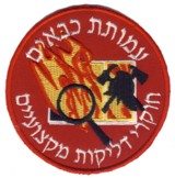 Abzeichen Feuerwehr Israel