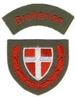 Abzeichen Freiwillige Feuerwehr Breitenlee