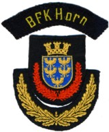 Abzeichen Bezirksfeuerwehrkommando Horn mit Ehrendienstgrad
