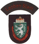 Abzeichen Freiwillige Feuerwehr Stadt Leoben