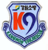 Abzeichen Fire Rescue Kangwon