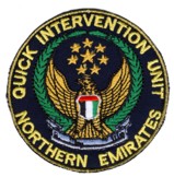 Abzeichen Quick Intervention Unit Northern Emirates