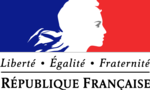 Flagge der Französischen Republiken