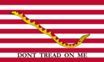 Flagge der US Marine