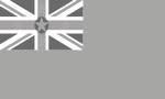 Flagge von Niue