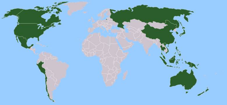 Karte der Mitgliedsstaaten der Asiatisch Pazifischen Wirtschaftlichen Zusammenarbeit