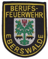 Abzeichen Berufsfeuerwehr Eberswalde in gold