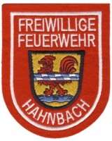 Abzeichen Freiwillige Feuerwehr Hahnbach