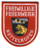 Abzeichen Freiwillige Feuerwehr Nettelkofen