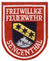 Abzeichen Freiwillige Feuerwehr Sengenthal