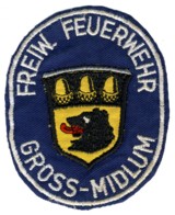 Abzeichen Freiwillige Feuerwehr Gro-Midlum