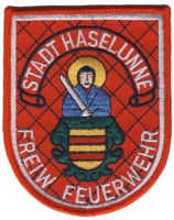 Abzeichen Freiwillige Feuerwehr Haselnne