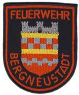 Abzeichen Freiwillige Feuerwehr Bergneustadt