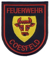 Abzeichen Feuerwehr Coesfeld