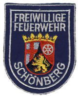 Abzeichen Freiwillige Feuerwehr Schönberg