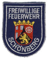 Abzeichen Freiwillige Feuerwehr Schnberg