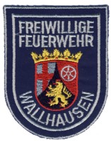 Abzeichen Freiwillige Feuerwehr Wallhausen
