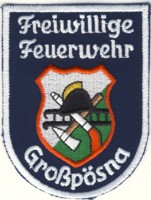 Abzeichen Freiwillige Feuerwehr Gropsna