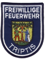 Abzeichen Freiwillige Feuerwehr Triptis