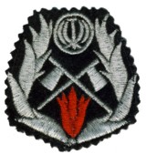 Abzeichen Feuerwehr Iran