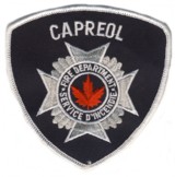 Abzeichen Fire Department Capreol