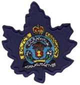 Abzeichen Cornwall Police Association