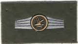 Abzeichen Luftwaffensicherungstruppe