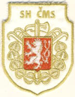 Abzeichen Feuerwehr SH CMS