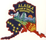 Abzeichen Forestry Division Firefighter Alaska