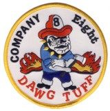Abzeichen Fire Department DeKalb County / Company 8