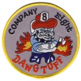 Abzeichen Fire Department DeKalb County / Company 8