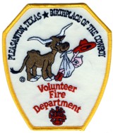 Abzeichen Volunteer Fire Department Pleasanton